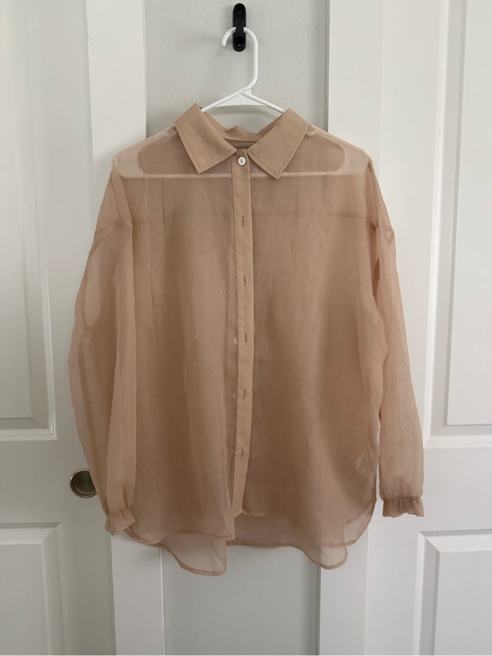 Vici Sheer Nude Button-Up Blouse